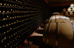 cellar basement lighting